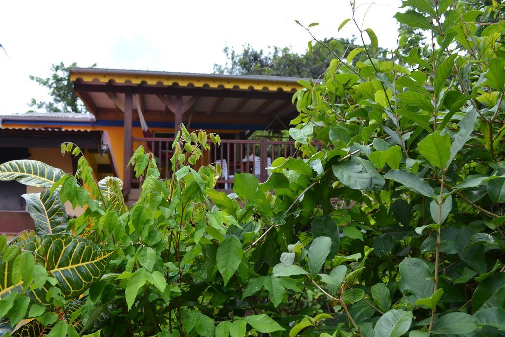 L'Ecomusee Creole De La Guadeloupe Сент-Роз Екстериор снимка